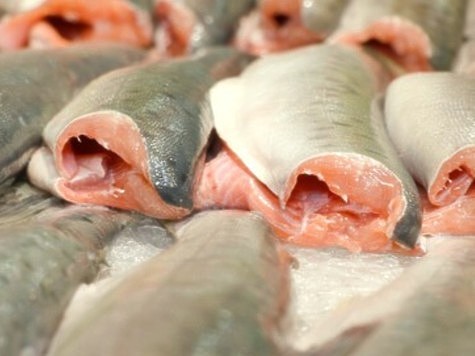 Незащищенным жителям Камчатки рыбу передадут бесплатно 