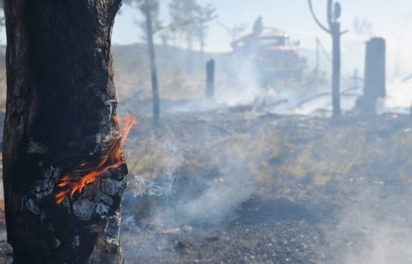В Приморье из-за жары увеличилась площадь лесных пожаров