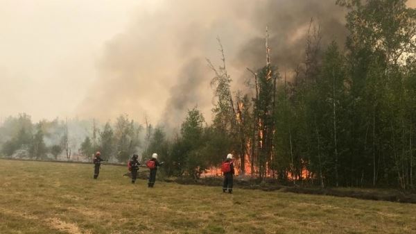 В России за сутки ликвидировали 78 природных пожаров